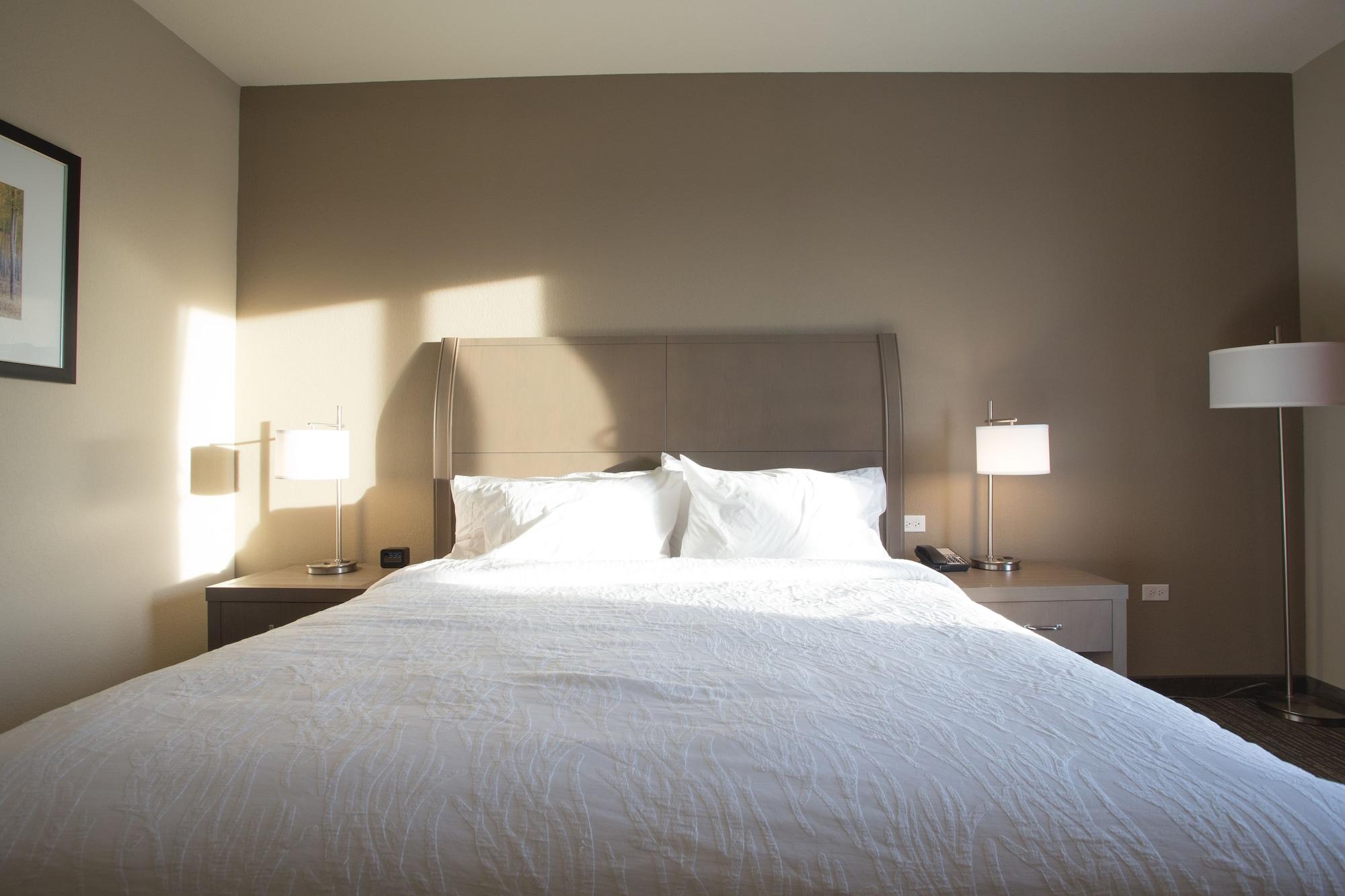 Hilton Garden Inn Bolingbrook I-55 Екстериор снимка
