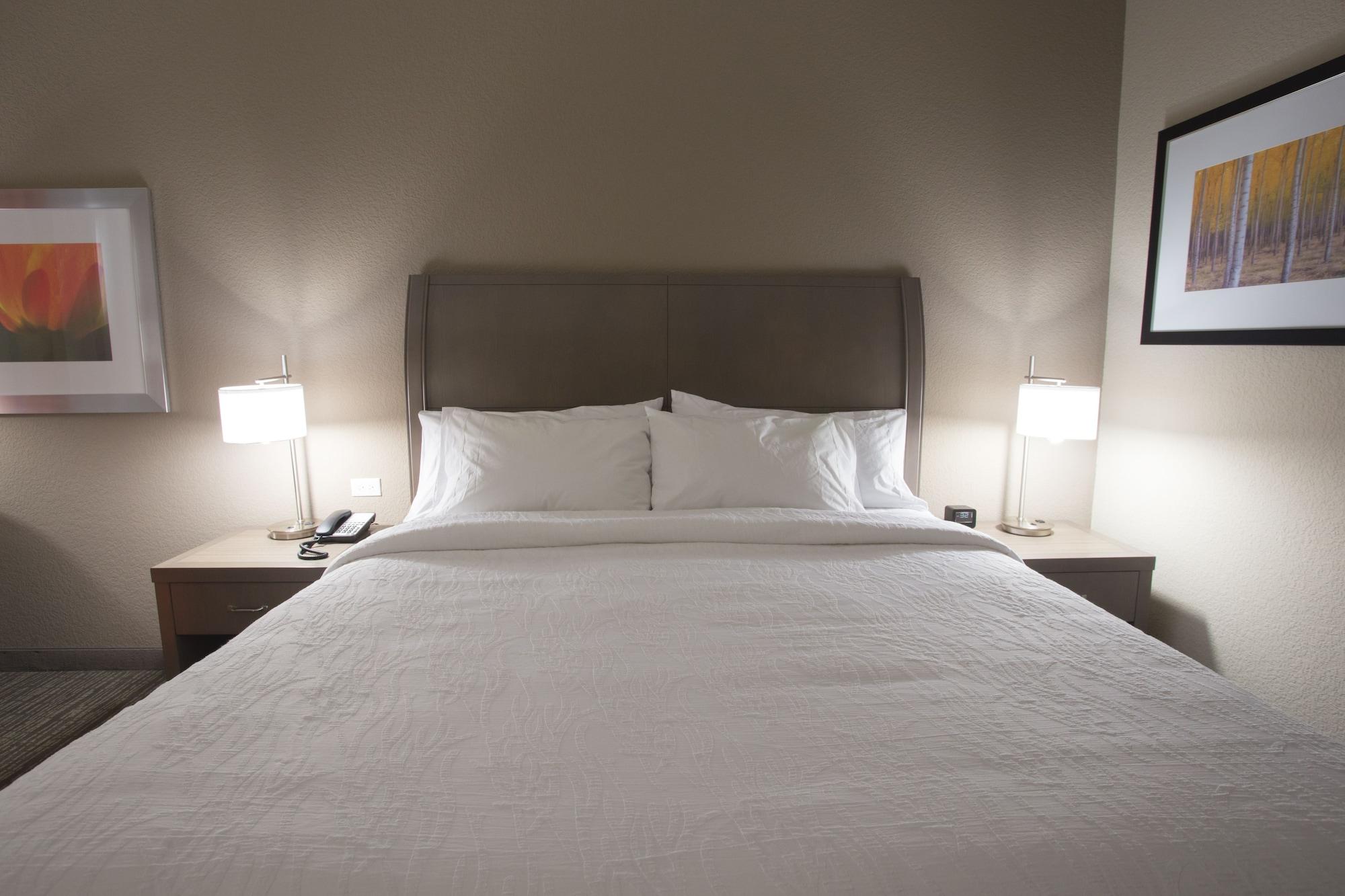 Hilton Garden Inn Bolingbrook I-55 Екстериор снимка